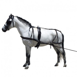 ENGANCHE COMPLETO PARA PONY EN CUERO Y NAYLON