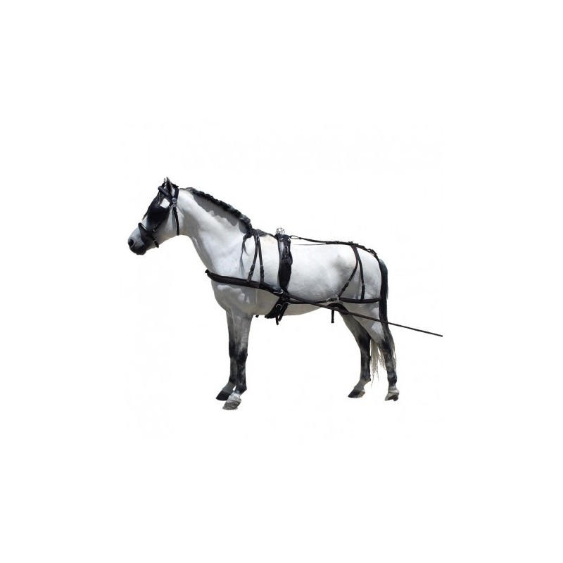 ENGANCHE COMPLETO PARA PONY EN CUERO Y NAYLON